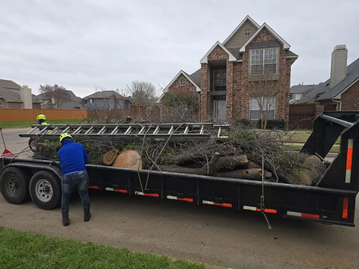 Expert Tree Fertilization with proper safety equipment in Gordon